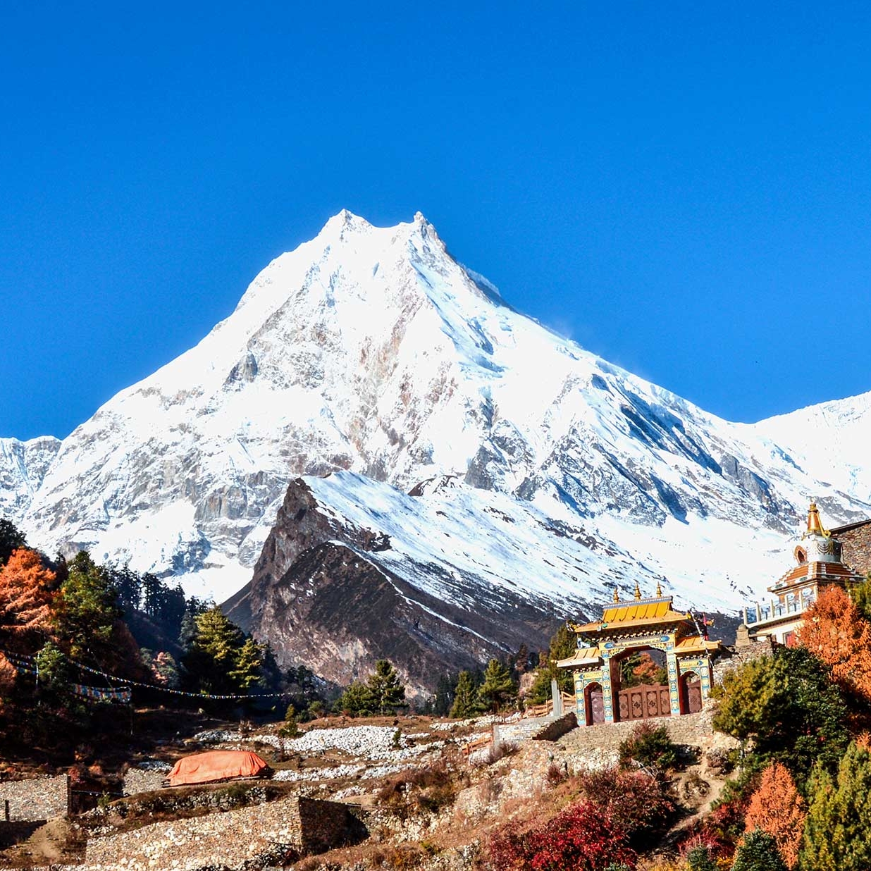 Trekking in Nepal
