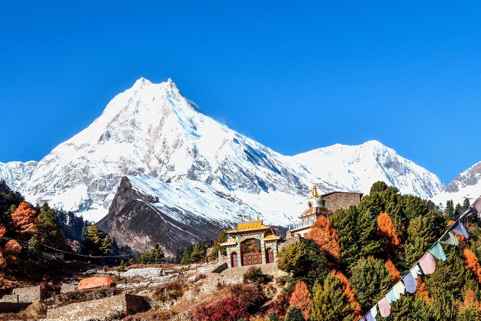 Dynamic Tour Nepal