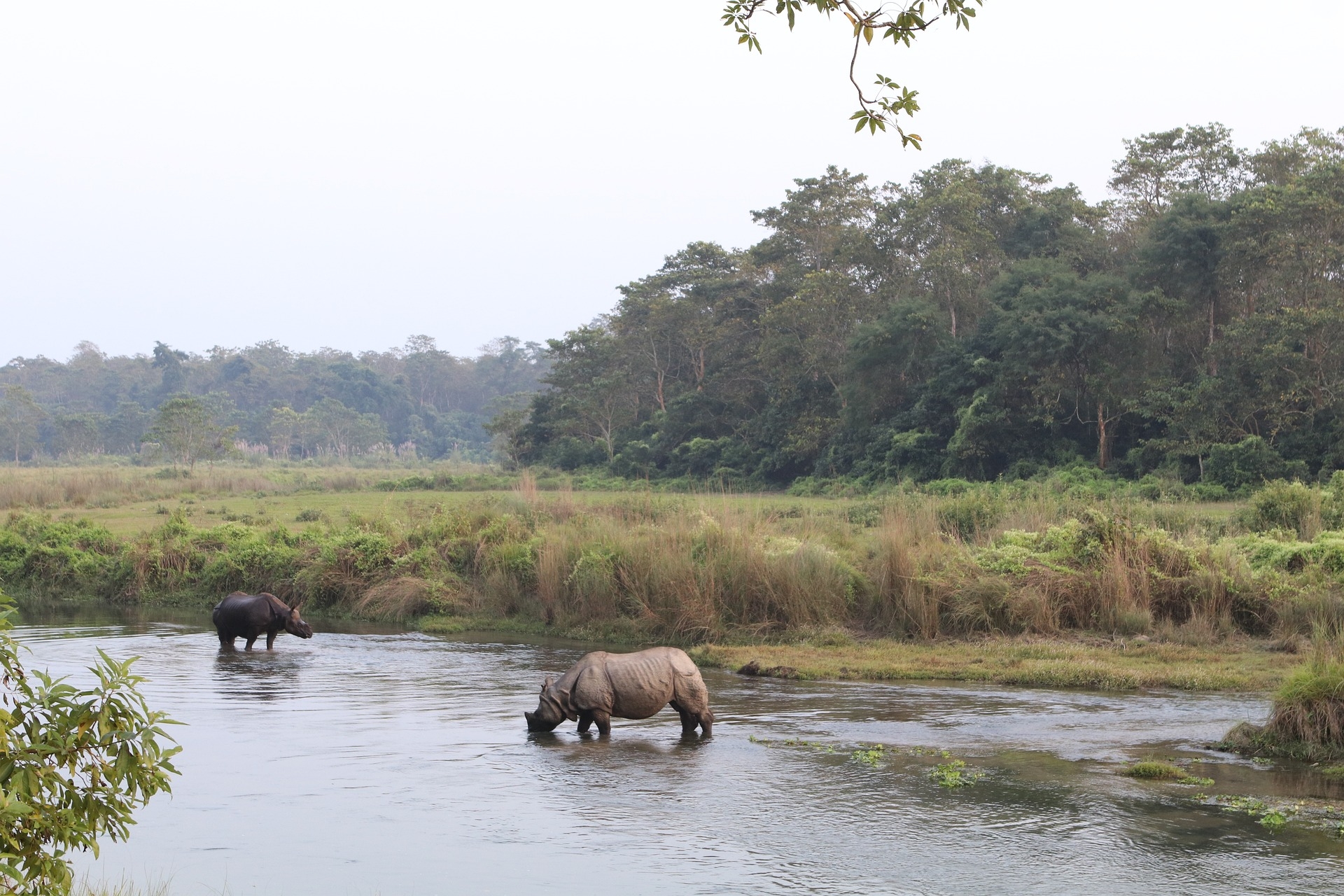 Pokhara Chitwan Tour